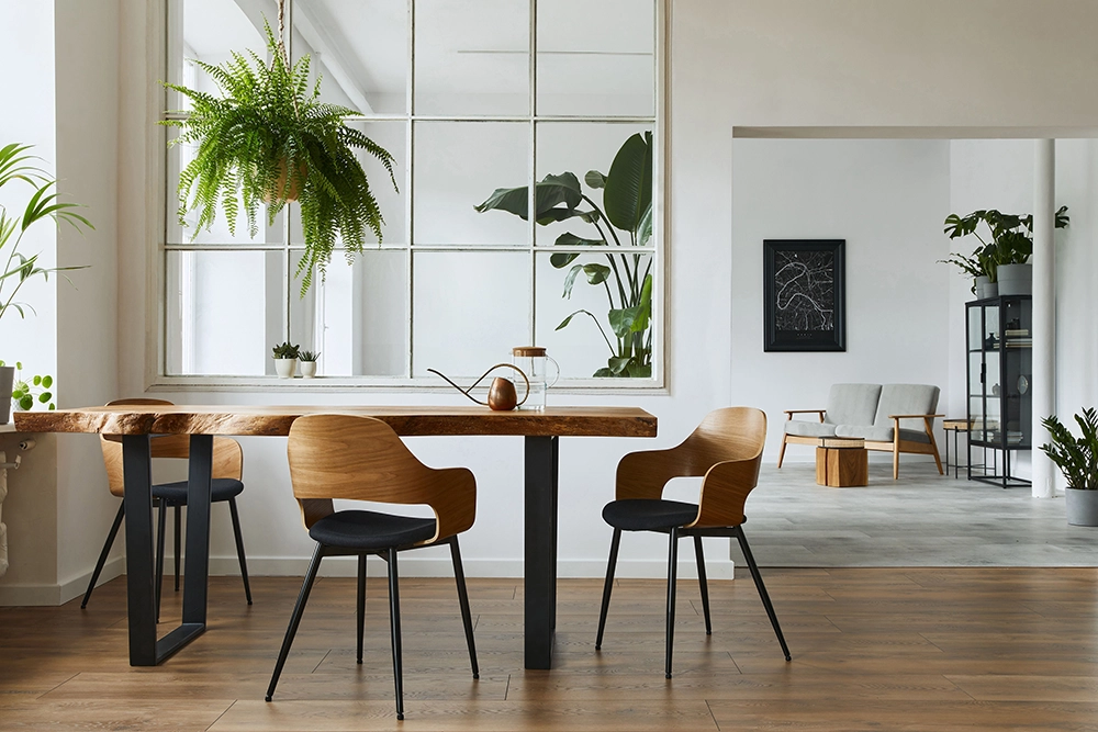 FurnishedApartments.webp